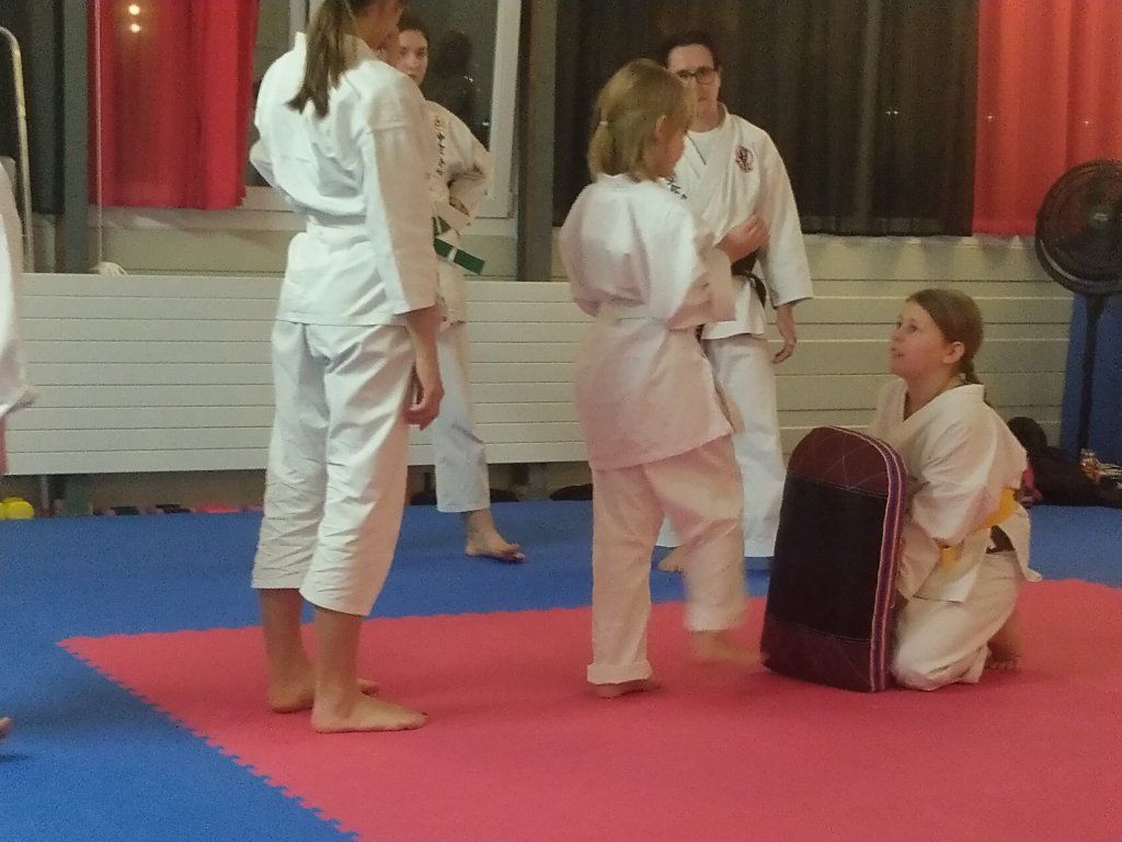 Karate & Kobudo Schule