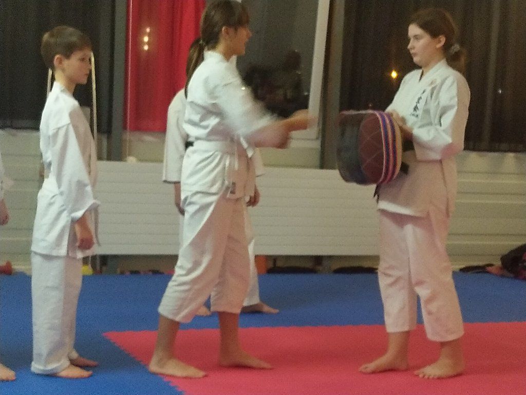 Karate & Kobudo Schule