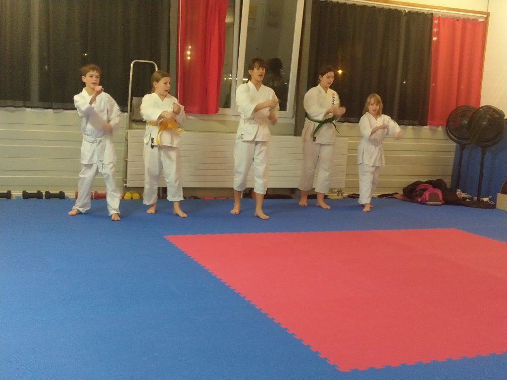 Karate & Kobudo Schule