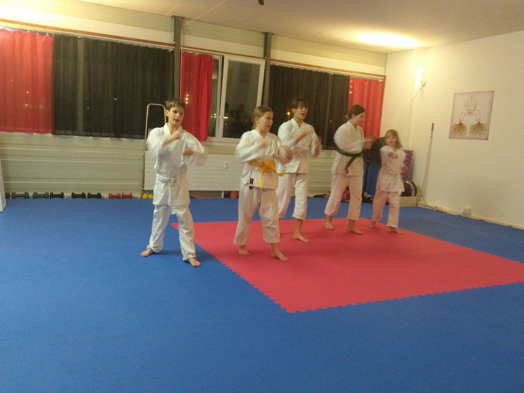 Karate & Kobudo Schule