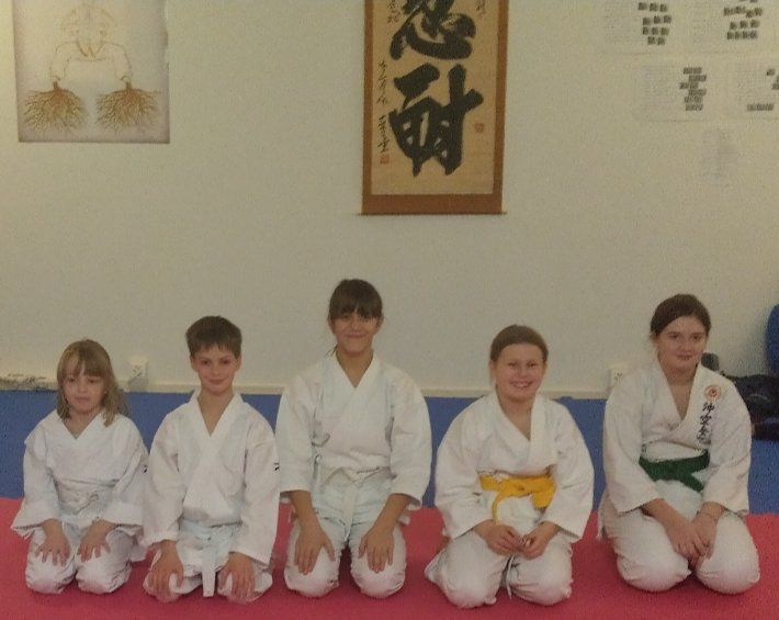 Karate & Kobudo Schule
