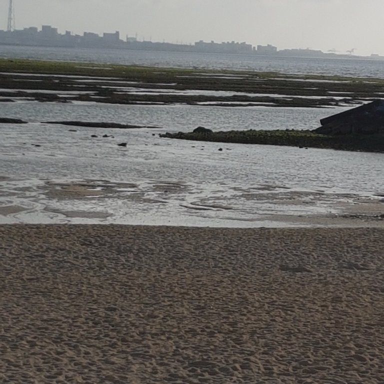 Karate & Kobudo Schule
