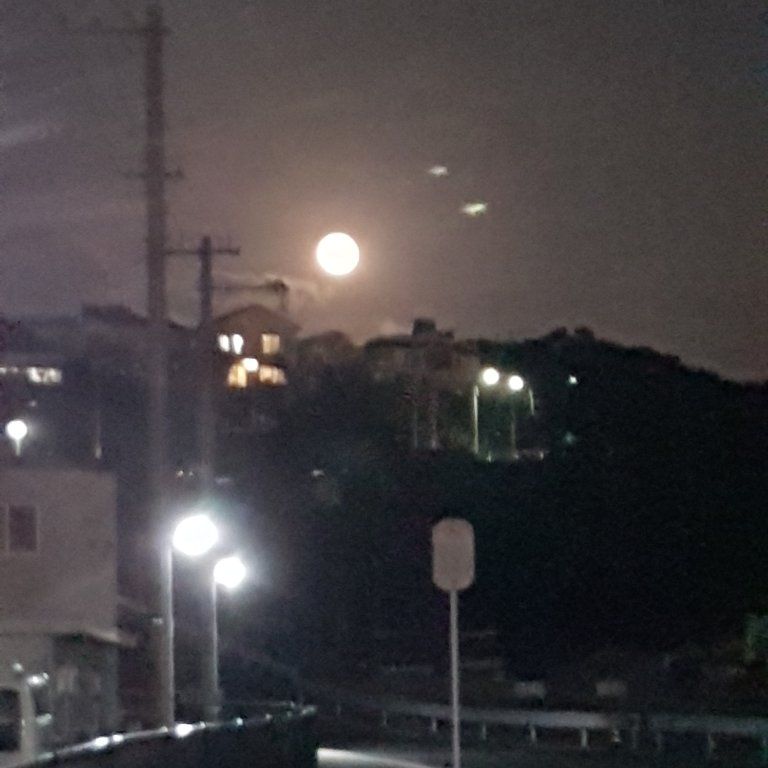 Karate & Kobudo Schule
