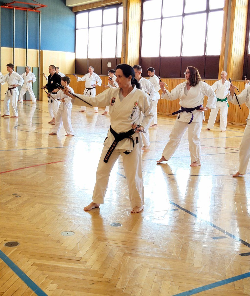 Karate & Kobudo Schule