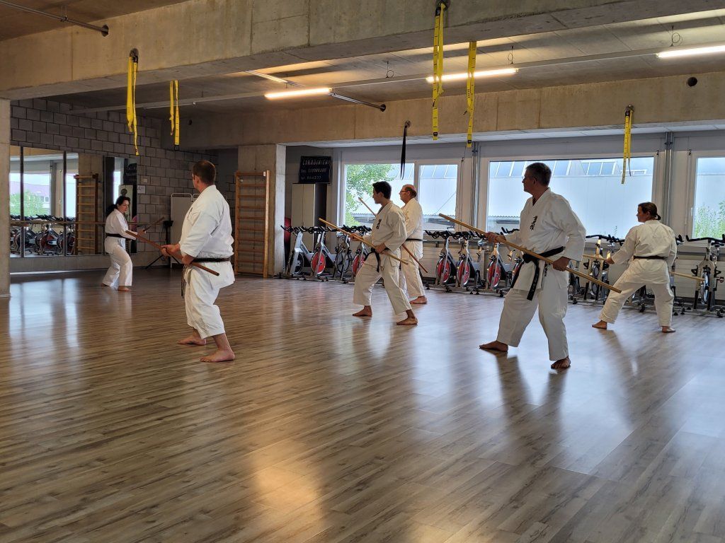 Karate & Kobudo Schule