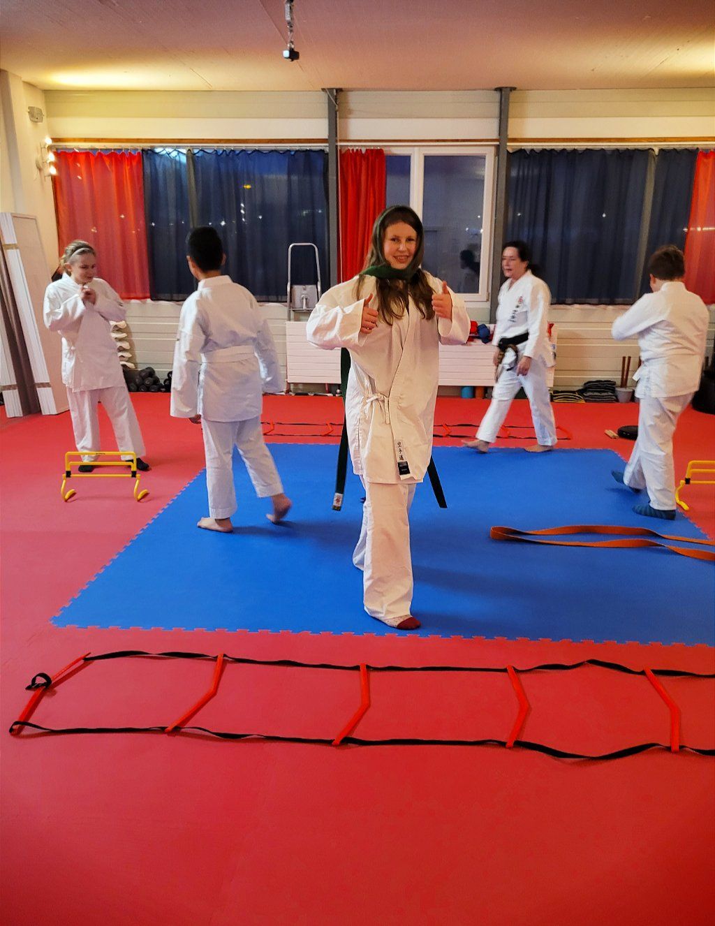 Karate & Kobudo Schule