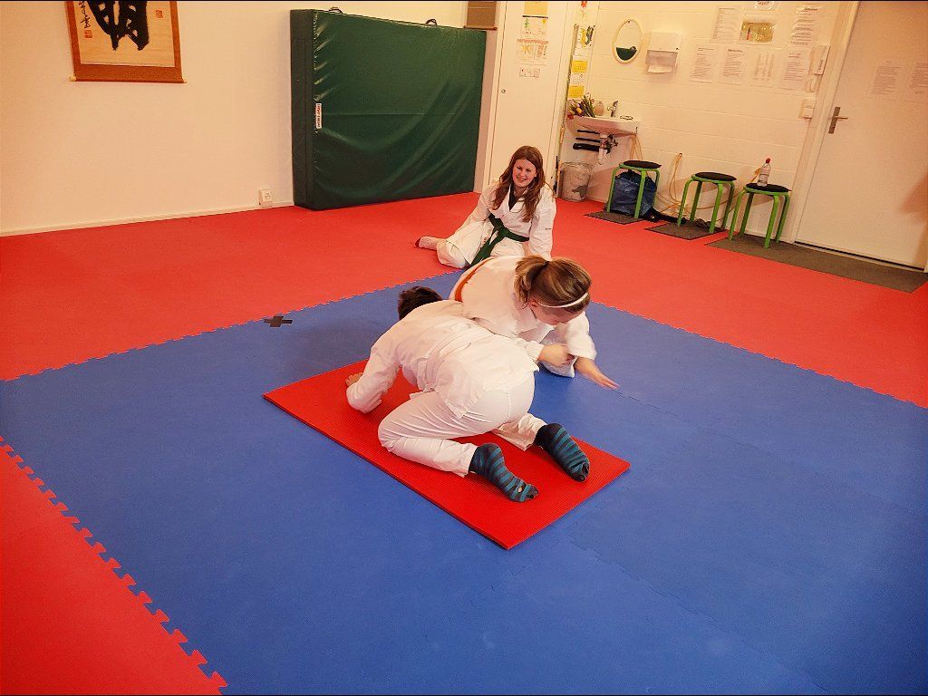 Karate & Kobudo Schule