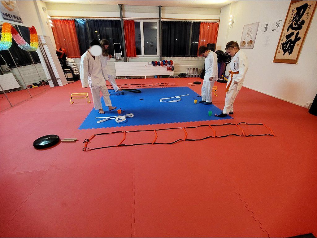 Karate & Kobudo Schule