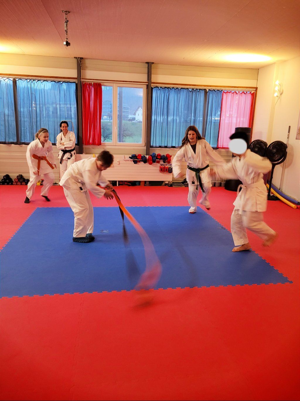 Karate & Kobudo Schule
