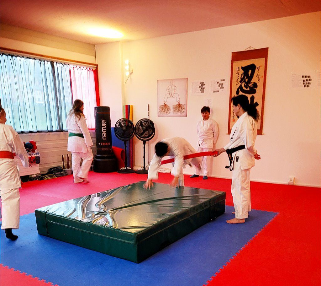 Karate & Kobudo Schule