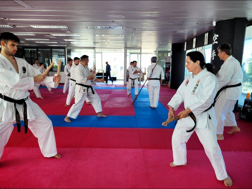 Karate & Kobudo Schule