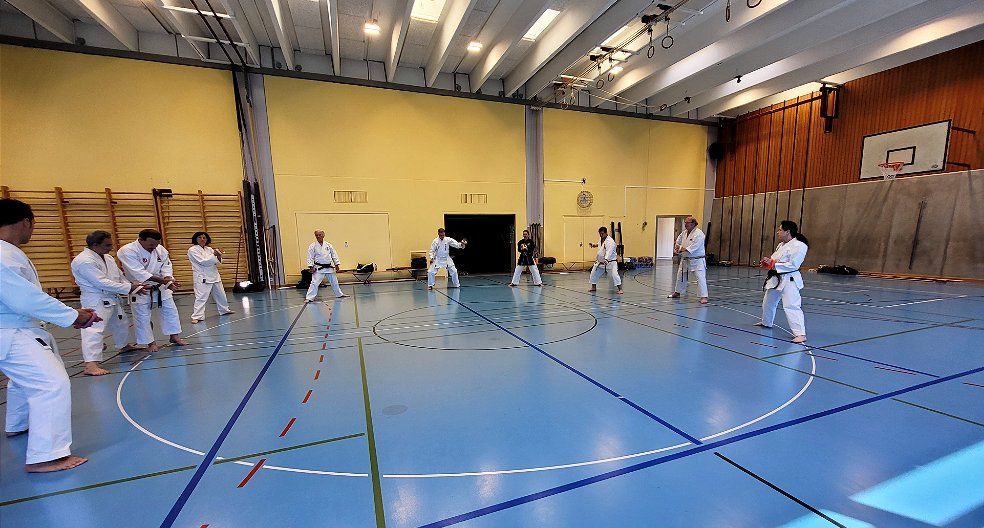 Karate & Kobudo Schule