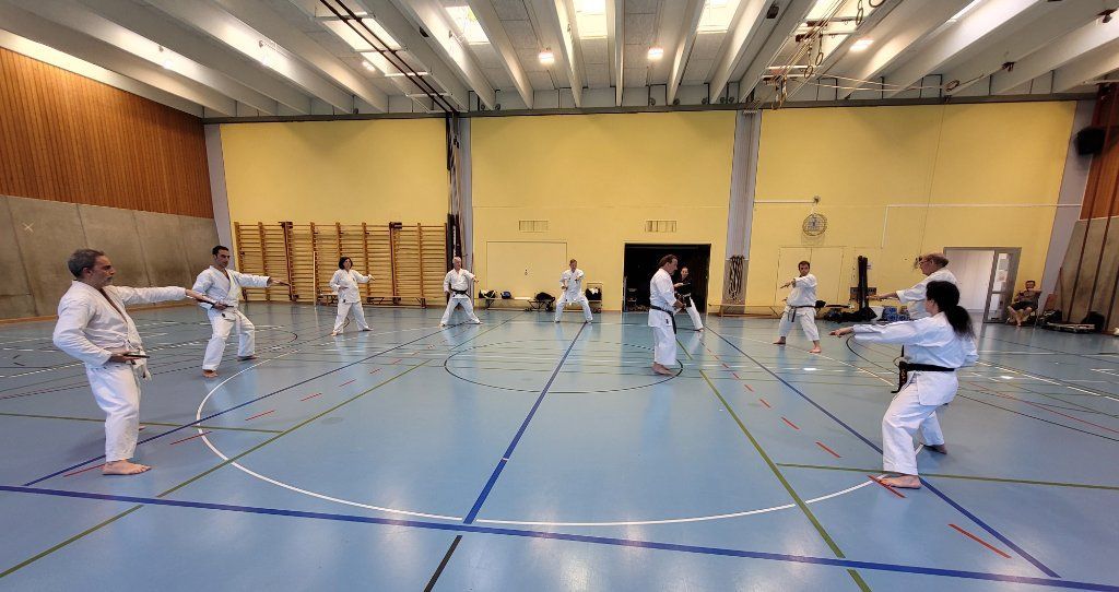 Karate & Kobudo Schule