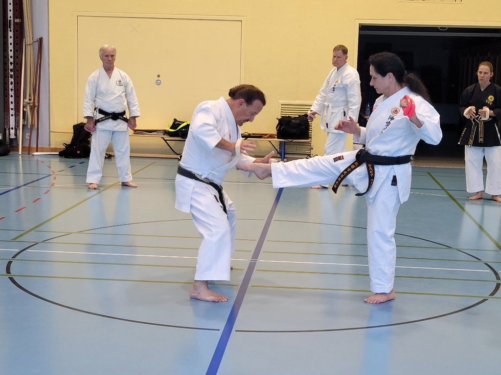 Karate & Kobudo Schule