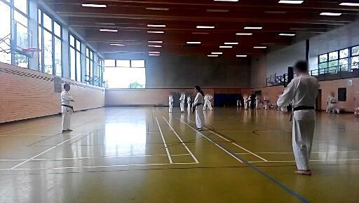 Karate & Kobudo Schule
