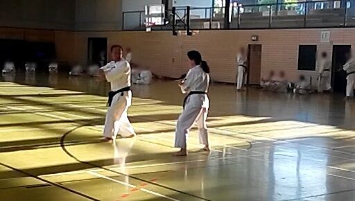 Karate & Kobudo Schule
