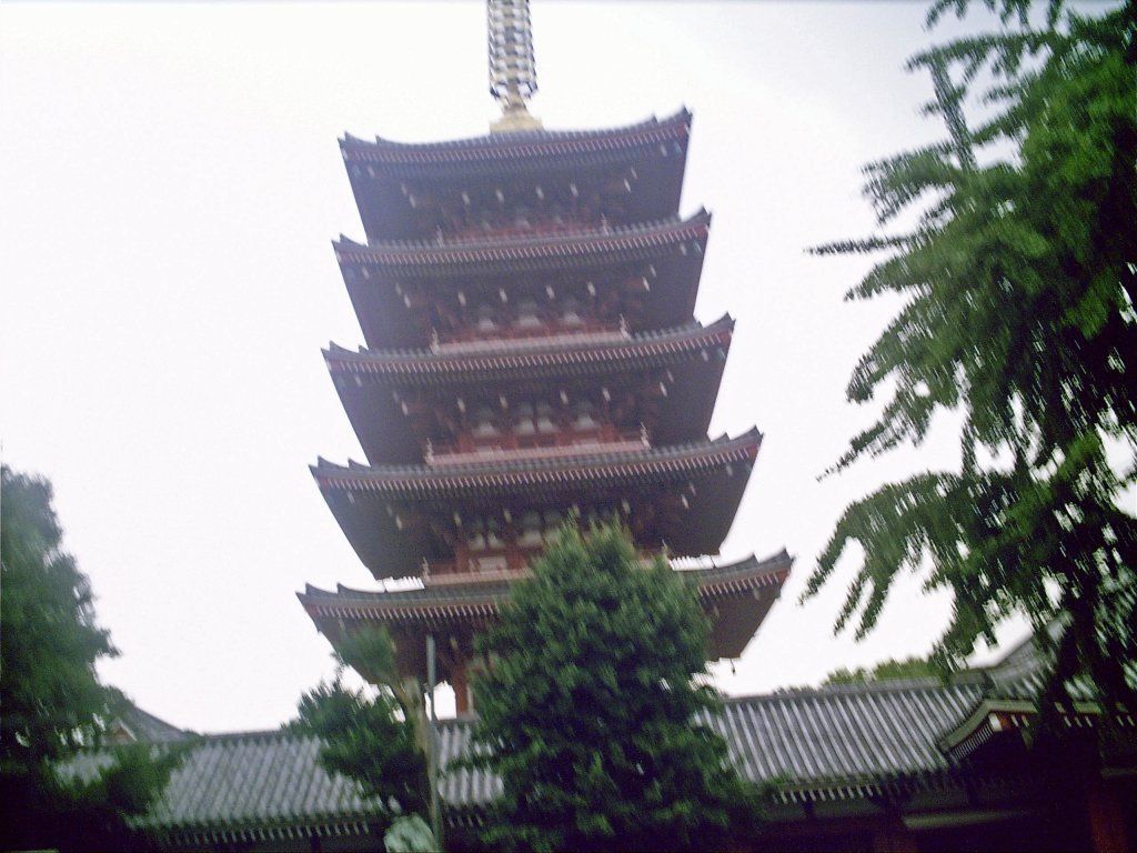 Karate & Kobudo Schule
