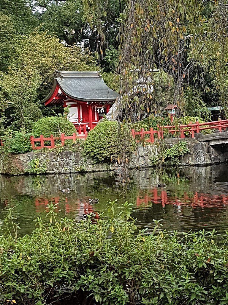 Karate & Kobudo Schule

