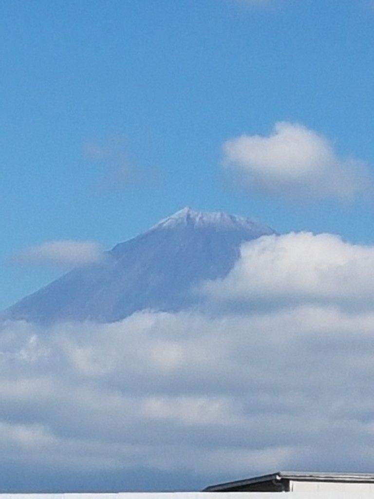 Karate & Kobudo Schule

