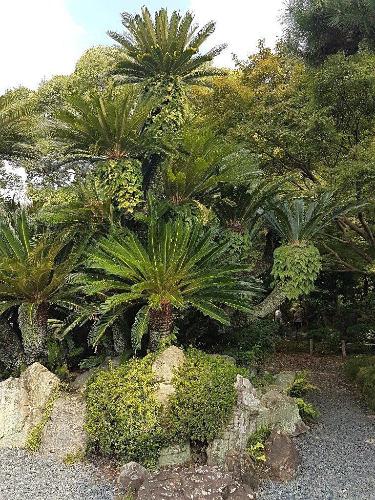 Karate & Kobudo Schule
