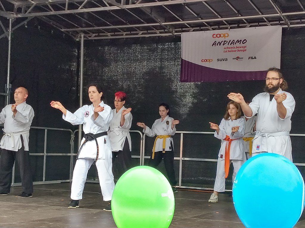 Karate & Kobudo Schule