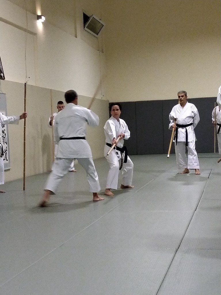 Karate & Kobudo Schule
