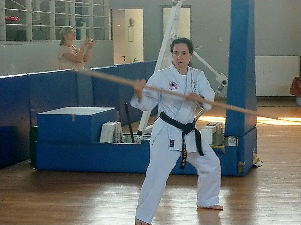 Karate & Kobudo Schule