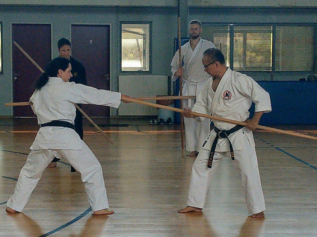 Karate & Kobudo Schule