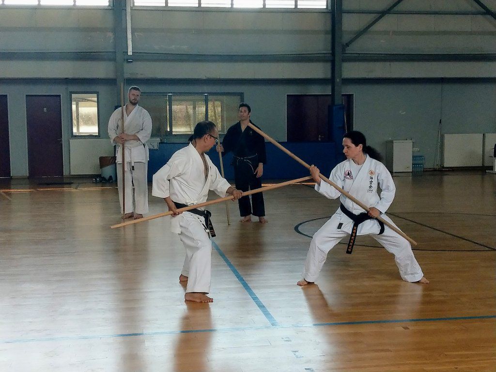 Karate & Kobudo Schule