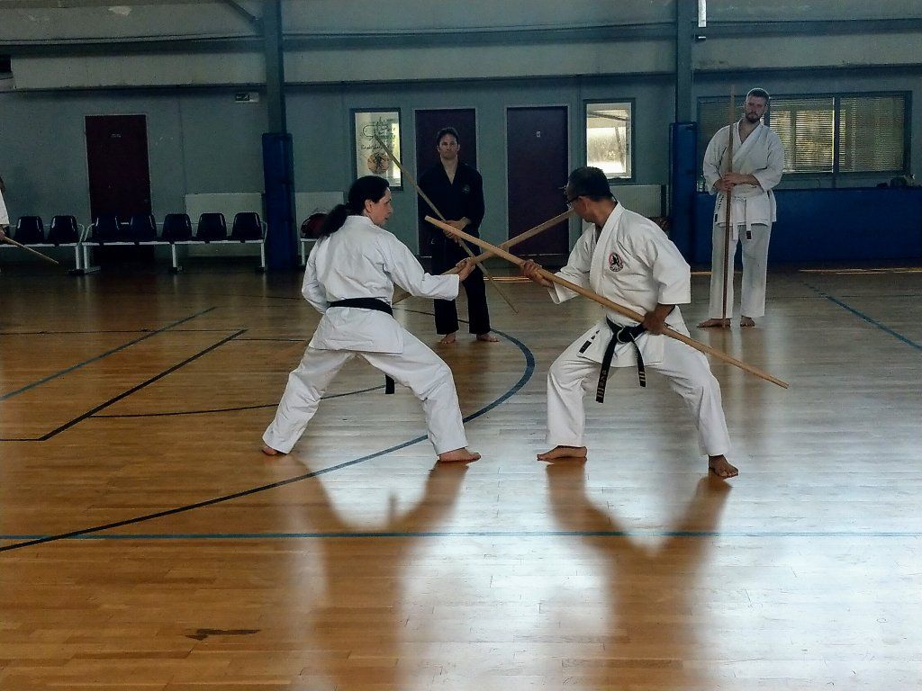 Karate & Kobudo Schule