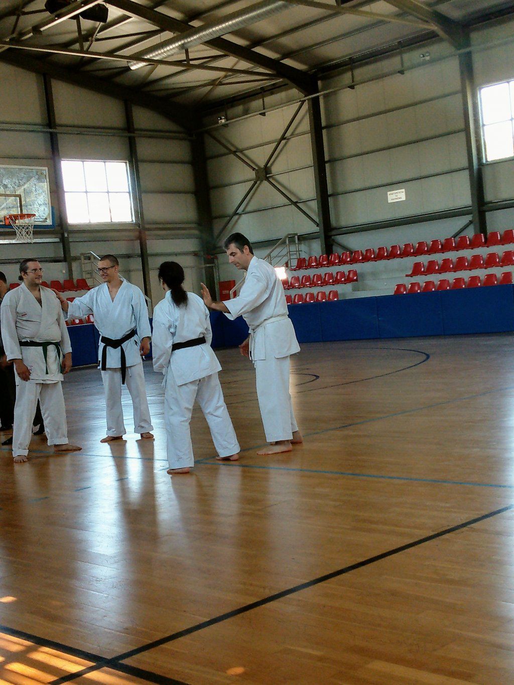 Karate & Kobudo Schule