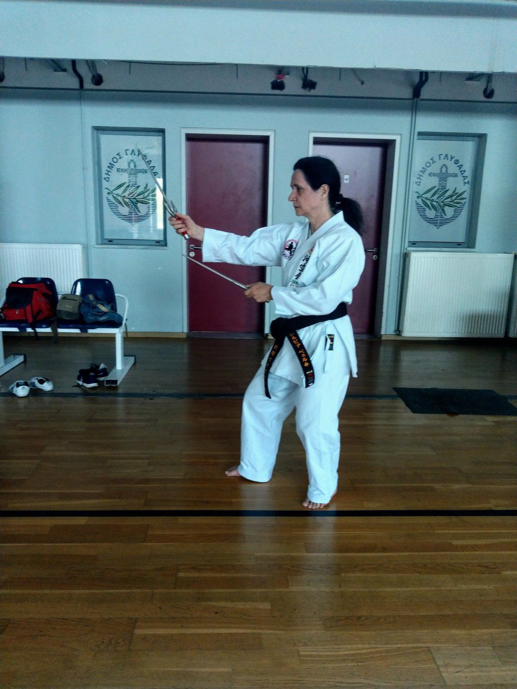 Karate & Kobudo Schule