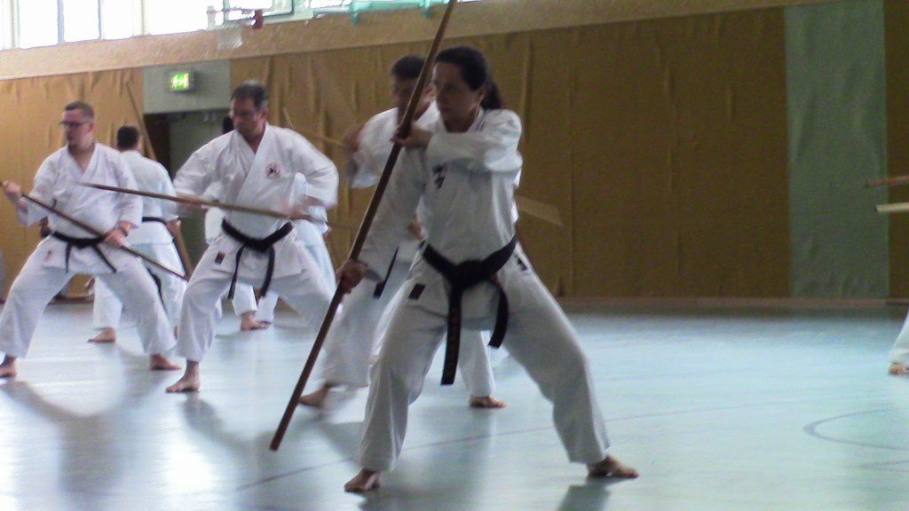 Karate & Kobudo Schule