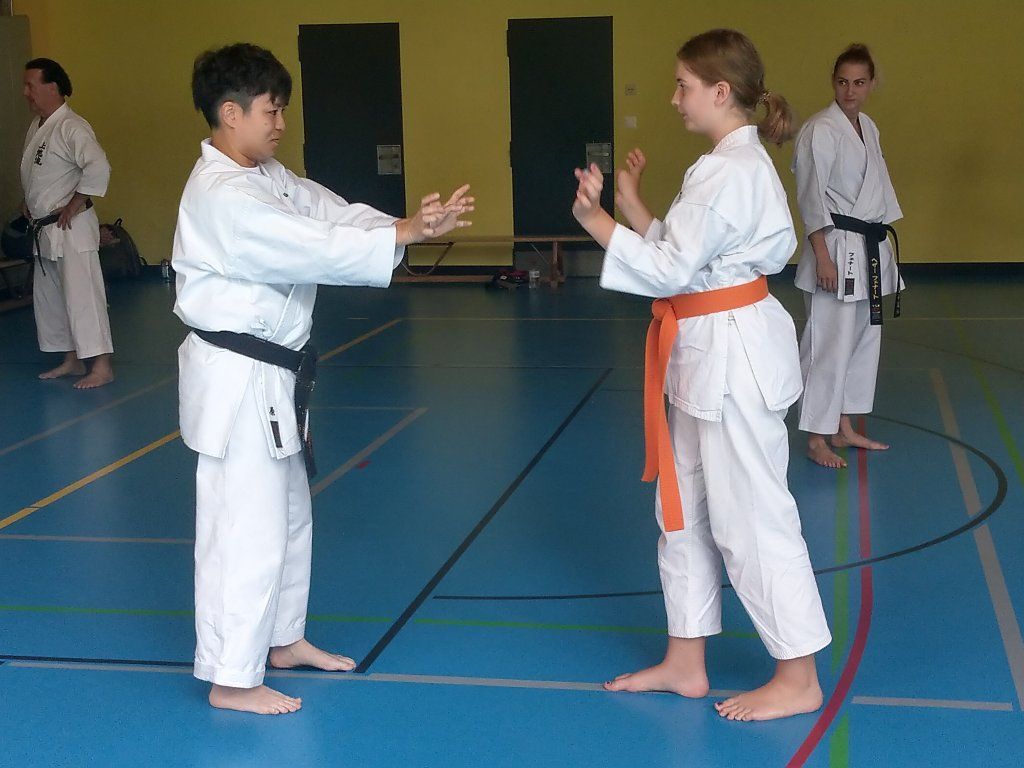 Karate & Kobudo Schule