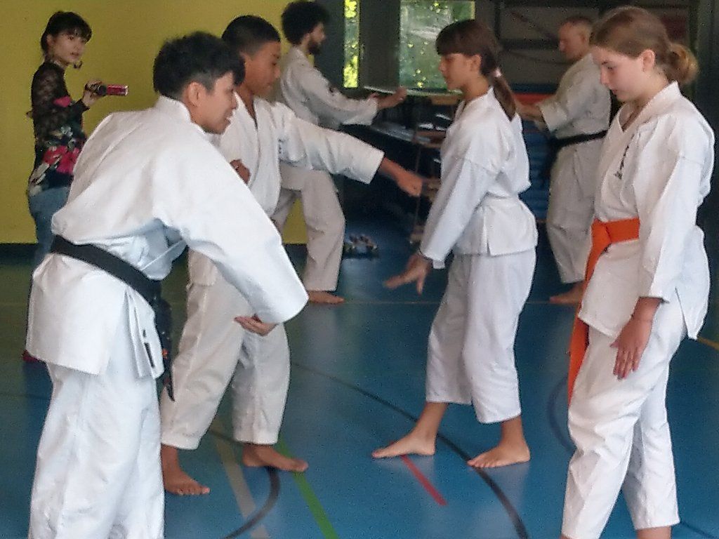 Karate & Kobudo Schule