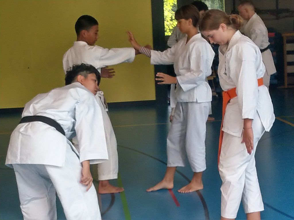 Karate & Kobudo Schule
