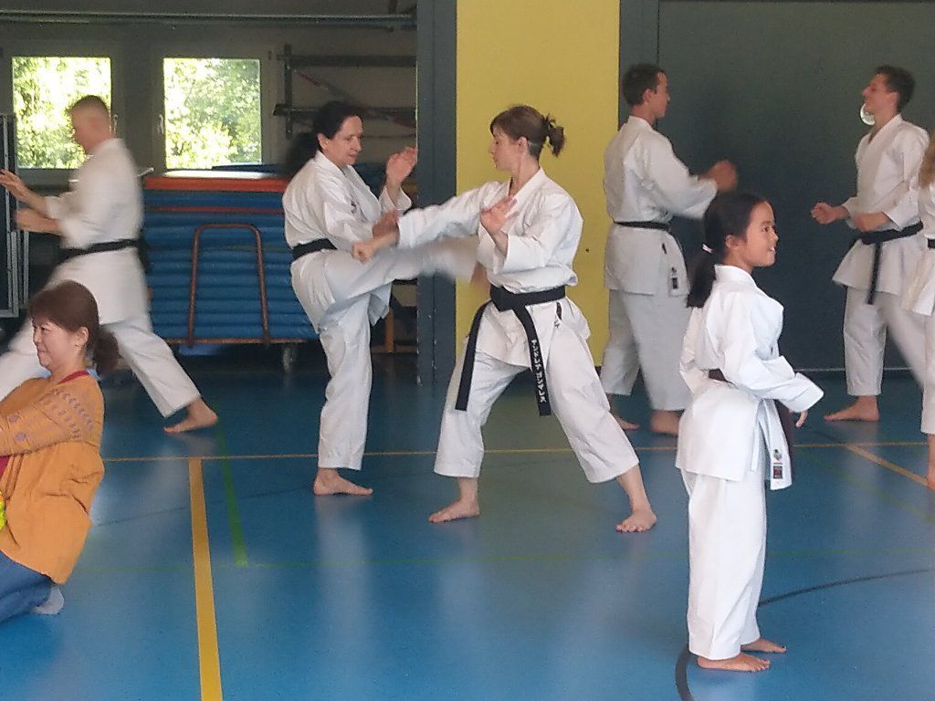 Karate & Kobudo Schule