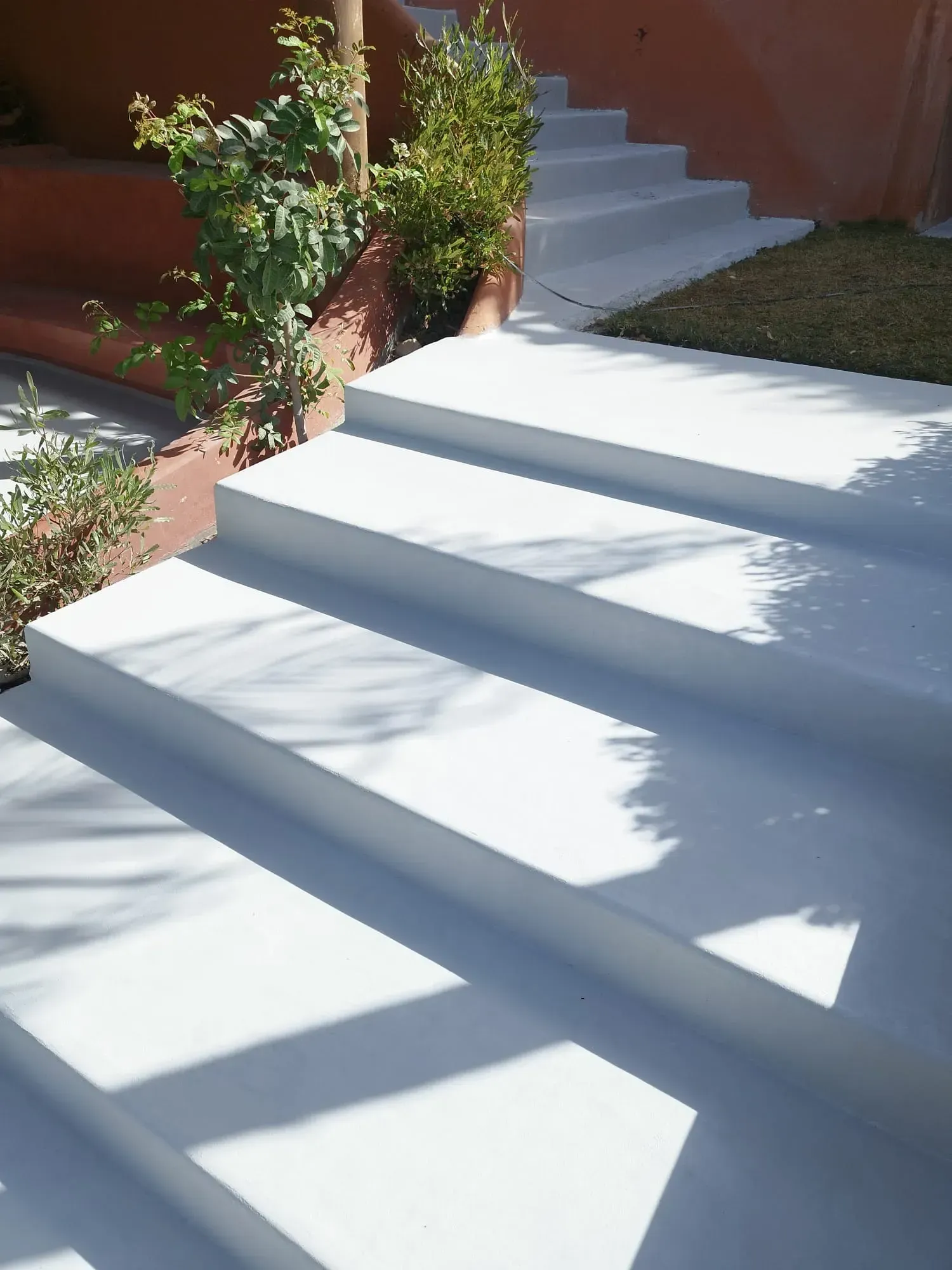 Escaleras de hormigón blanco que suben hacia arriba, con plantas y sombra.