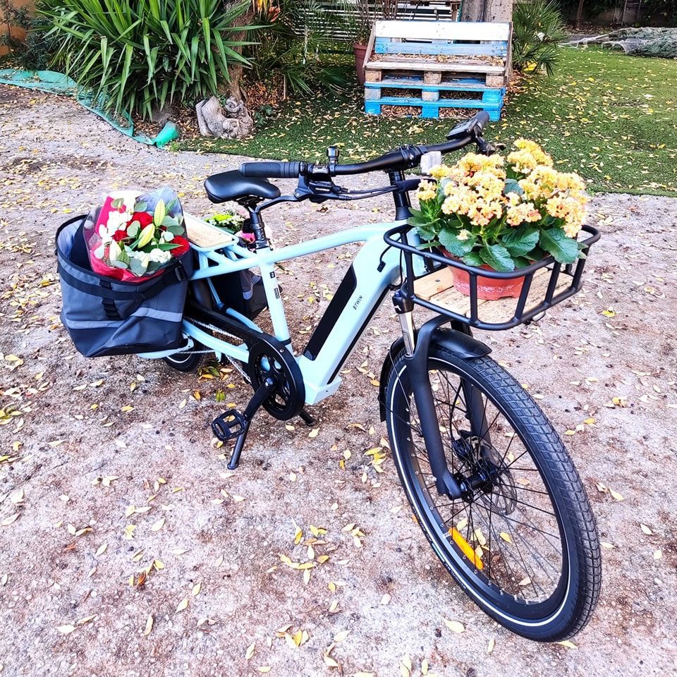 Vélo électrique bleu clair avec des fleurs dans des paniers sur une surface sablonneuse.