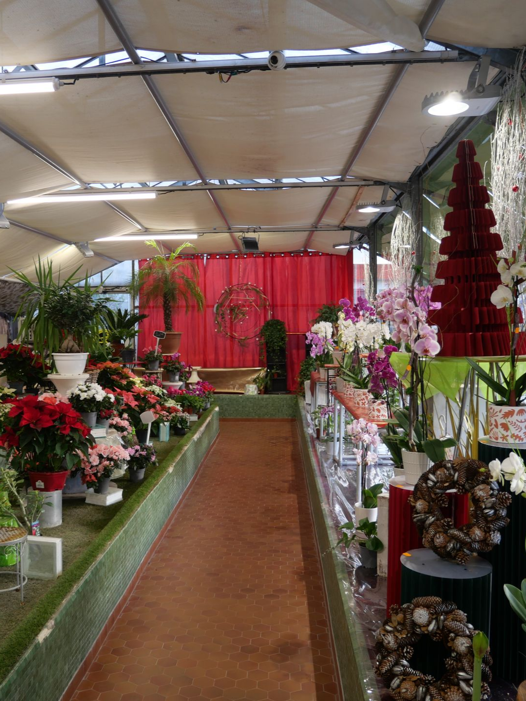 Vue intérieure d'une boutique de fleurs présentant diverses compositions florales disposées sur des tables et des étagères sous un toit blanc.