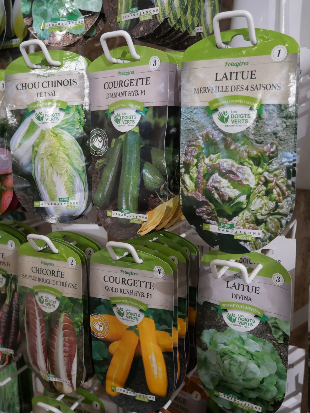 Une personne traverse une serre remplie de plantes en pot et de paniers de fleurs suspendus.