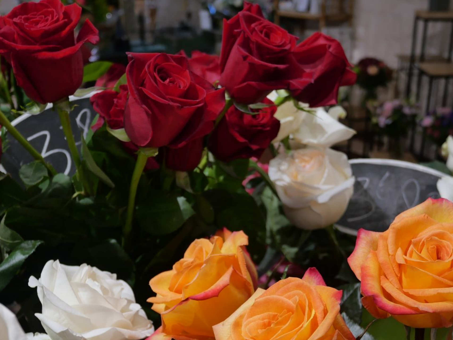 Gros plan sur des roses rouges, oranges et blanches dans une boutique de fleurs. Certaines portent une étiquette de prix.