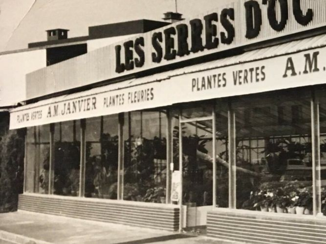 Photo en noir et blanc d'une serre boutique avec l'inscription Les Serres d'Or.
