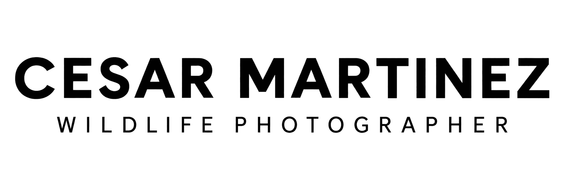 Logotipo del fotógrafo de vida silvestre CESAR MARTINEZ en negro y gris sobre fondo blanco.