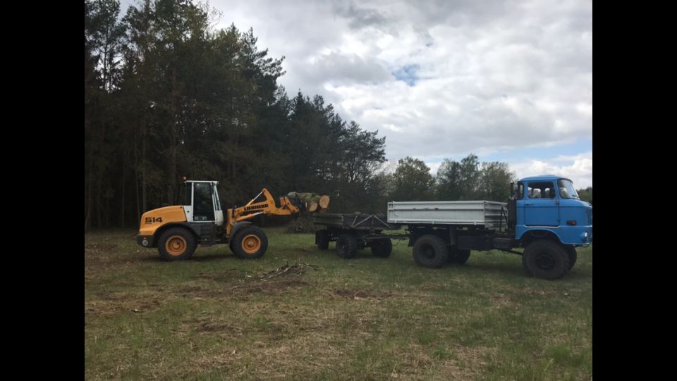 Bagger lädt Baumstamm auf eine Ladefläche