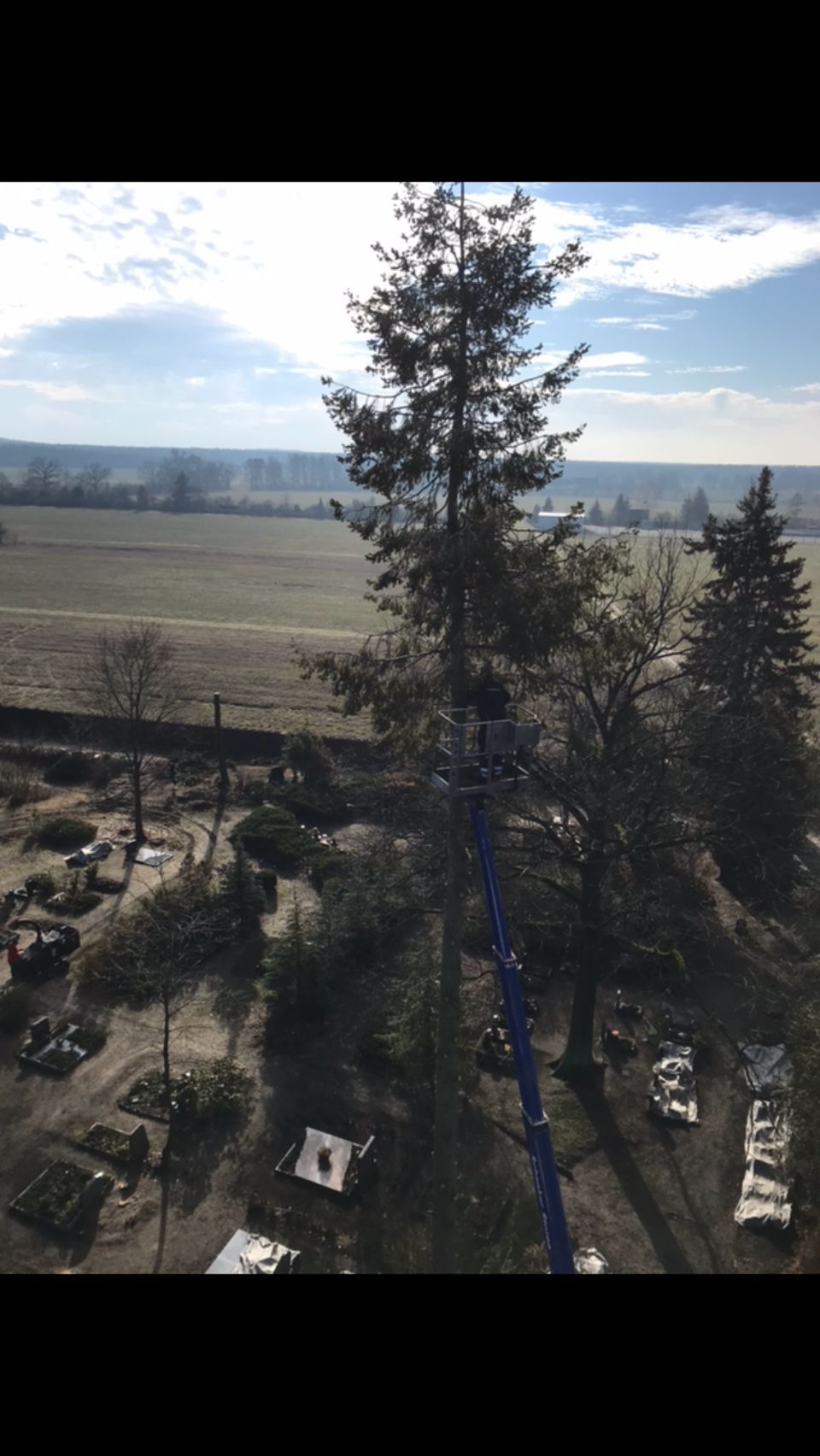 Hebebühne im Einsatz bei einer Baumkronenaktion