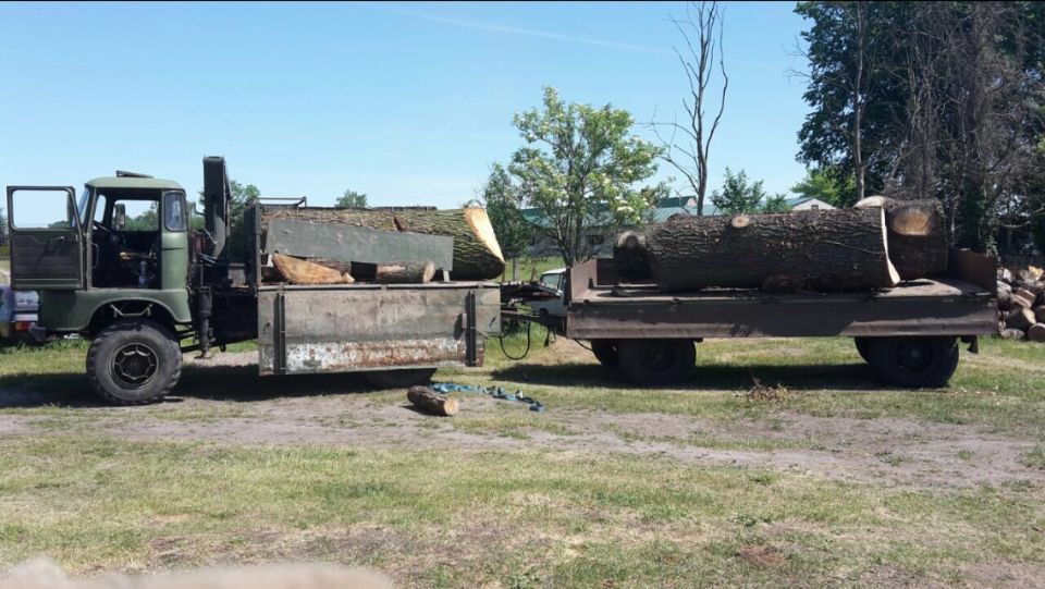 LKW schwer beladen mit Stammholz