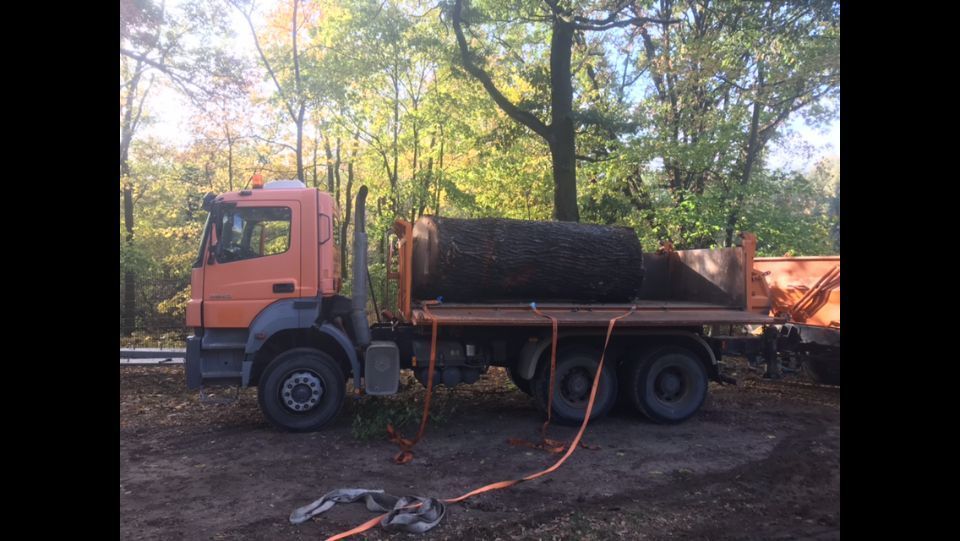 LKW beladen mit Stammholz