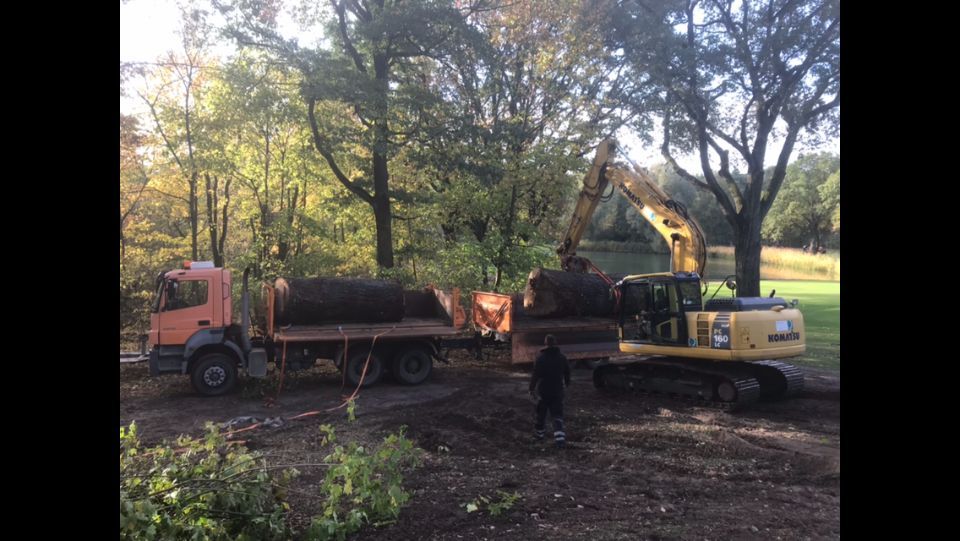 Baumstamm wird gerade auf einen Lkw geladen
