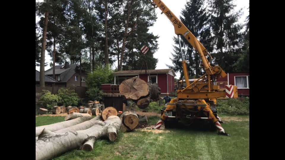 in einem Garten wird ein gefällter Baum abtransportiert